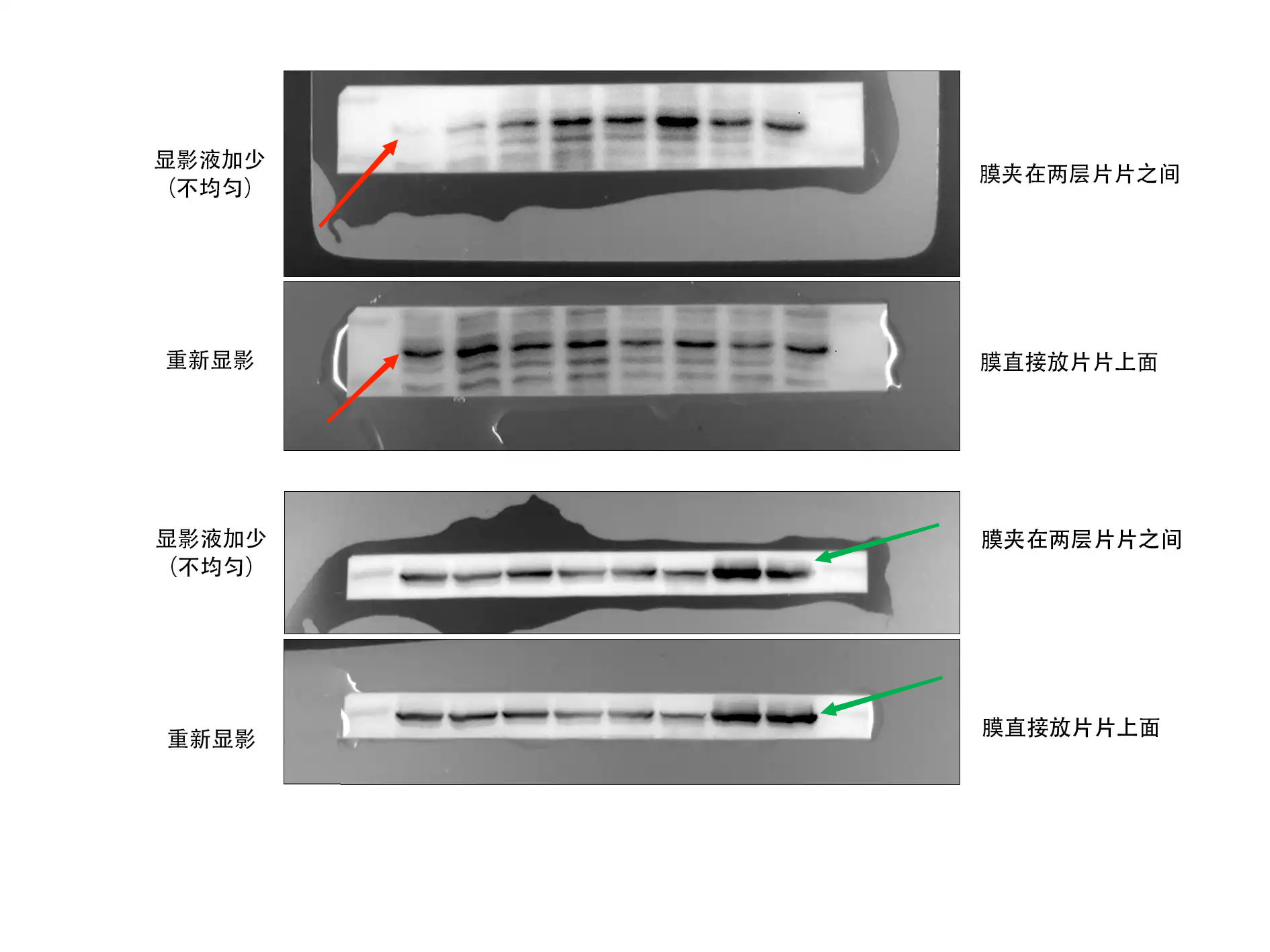 显影液加少 拷贝